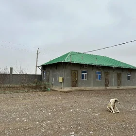 Satlyk hususy emlak