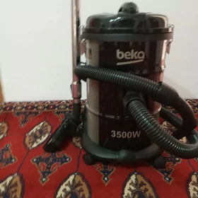 plesos
