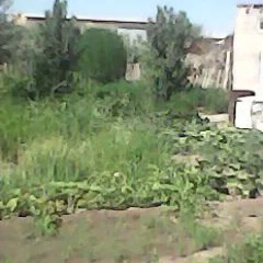zaton daça
