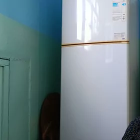 Samsung holodilnik