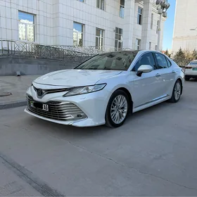 Toyota Camry 2019