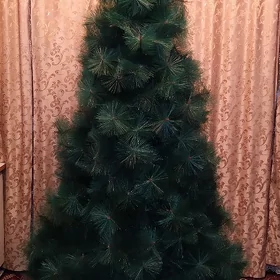 Елка