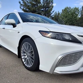 Toyota Camry 2023