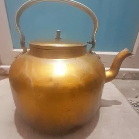 Gazan çaynek