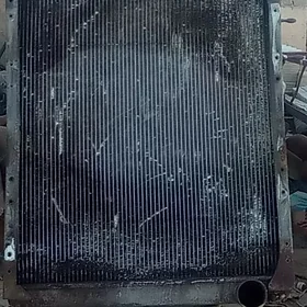 Radyatr maz
