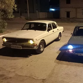 Gaz 24 1989