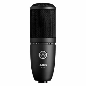 AKG P120 / FOCUSRITE solo3