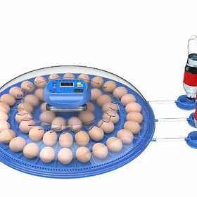 Inkubator80 Инкубатор80