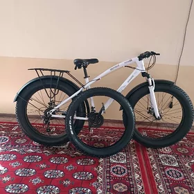 Tigir 26 lyk lokga