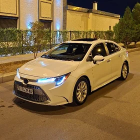 Toyota Corolla 2020