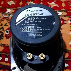 pioneer kalonka