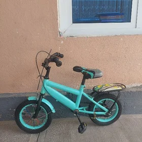 Tigir 12lik caganki
