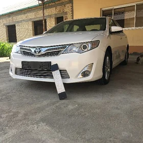 Toyota Camry 2013