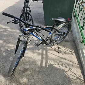 tigir spartivni