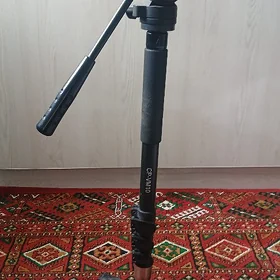 Manapot