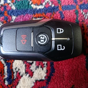 ford acar