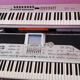 Korg pa x 1 pro