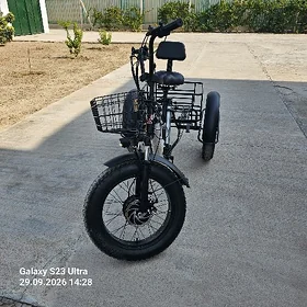 Elektro Tigir