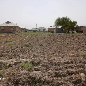 Mellek