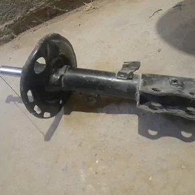karolla enjam