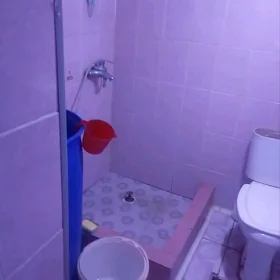janga