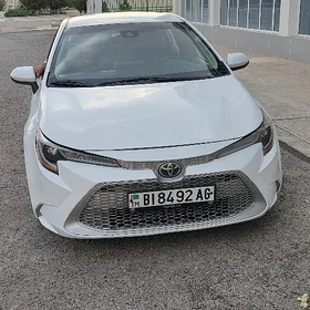 Toyota Corolla 2019