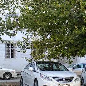 Hyundai Sonata 2011