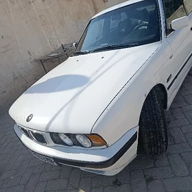BMW 525 1991