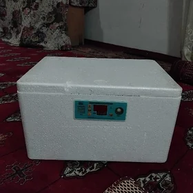 inkubator