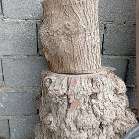 çapgy