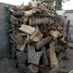 Odun