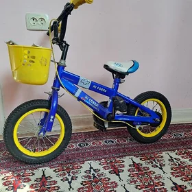 çaga tigir