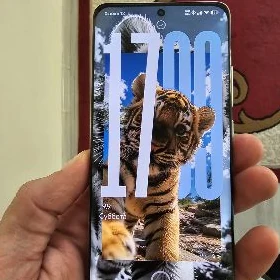Xiaomi 12