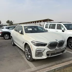 BMW X6 2021