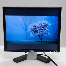 Monitor 19 DELL