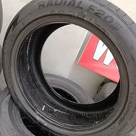 245 45 18