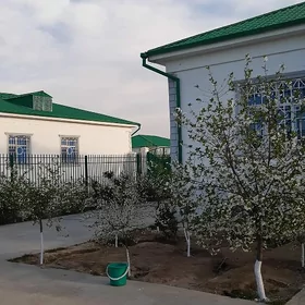 Taze zaman ♥️ Тазе заман