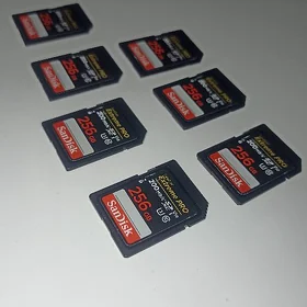 SanDisk çip
