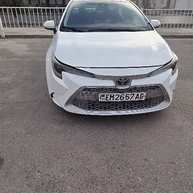 Toyota Corolla 2020