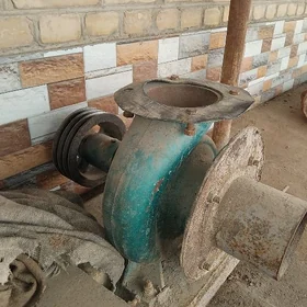 cugun kyrytcatka 150