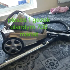 Plesos