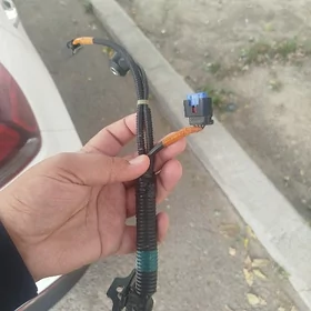Detanasiýa datçik