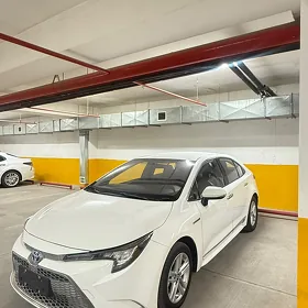 Toyota Corolla 2021