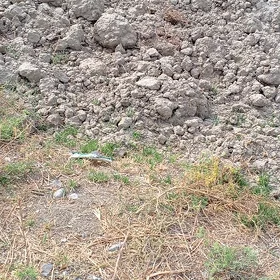 boş mellek yer