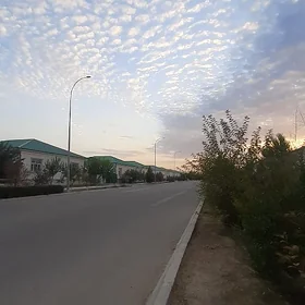 Taze Zaman ❤️ Тазе заман