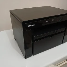 canon 3010