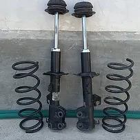 amartizator versa