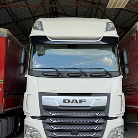 DAF 480 2021