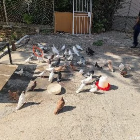 kepderi