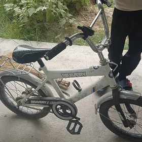 satlyk tigir